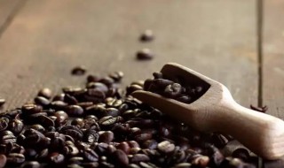 刚烘焙好的咖啡豆如何养 新烘的咖啡 为什么要养豆