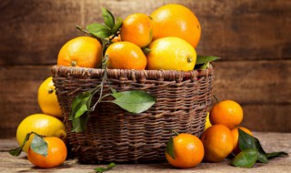 如何种植好盆栽橘子（橘子盆栽用什么盆）