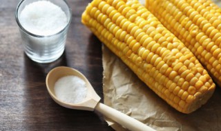 微波炉玉米棒的做法 微波炉玉米棒的做法窍门