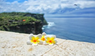 大理洱海旅游攻略必去景点 大理洱海旅游攻略必去景点月亮宫