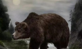 世界上体型最大的熊是什么熊 世界上体型最大的熊类