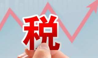 返税政策一般怎么返（煤炭返税政策一般怎么返）
