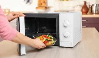 胶饭盒可以放微波炉吗 胶饭盒能放微波炉吗