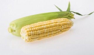 玉米棒保存方法 玉米棒如何保存方法