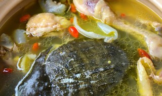 甲鱼放什么材料煲汤 甲鱼用什么配料来煲汤