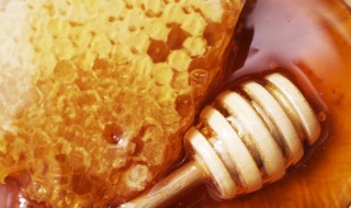 澳洲蜂胶保存方法 澳洲蜂胶保质期