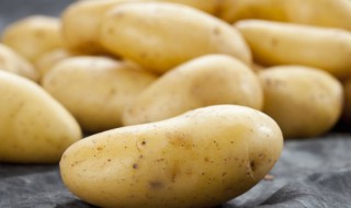 土豆育苗栽培方法 土豆苗的培育方法