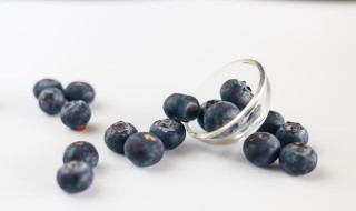 蓝莓小点烤多长时间 蓝莓几分钟可以蒸熟
