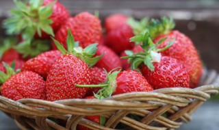草莓播种方法 怎样播种草莓种子