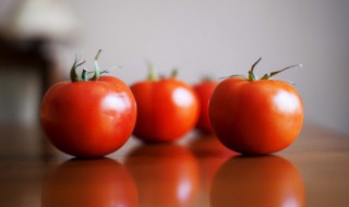 蕃茄什么时候播种 蕃茄什么时候播种,什么时候收获