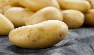 无土土豆怎么栽培 无土栽培的土豆好吃吗