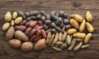 人工栽培的土豆怎么种植 如何栽种土豆