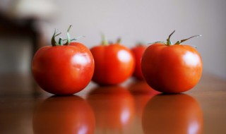 瀑布番茄的养殖方法和注意事项（瀑布番茄的养殖方法和注意事项是什么）