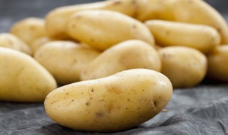土豆是什么时候种的 土豆那时候种