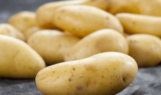 早土豆什么时候种 土豆几月份种植