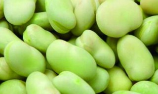 胡豆什么时候种 几月份种胡豆