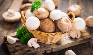 干蘑菇煮多长时间能熟 干蘑菇直接煮多久能熟
