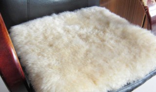 家庭羊毛坐垫清洗方法 纯羊毛坐垫怎么清洗