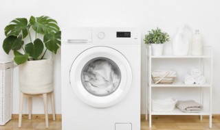 家庭洗衣机的自己清洗方法 家庭洗衣机怎么自己清洗