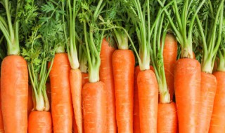 胡萝卜怎么做既好吃又简单 胡萝卜怎样做好吃又简单