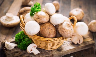 蘑菇可以放冰箱保鲜多长时间 蘑菇放冰箱里能保存多久