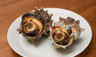 香螺肉煮几分钟能熟 香螺肉煮多长时间