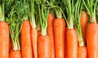 胡萝卜怎样做既好吃又简单 胡萝卜怎么做好吃简单做法
