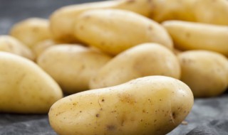 土豆怎么做既简单又好吃素食 素土豆怎么做好吃法