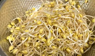 黄豆芽煮几分钟熟（黄豆芽水煮多少分钟可以熟）