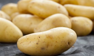 在家里种土豆发芽了怎么种 发芽的土豆怎么处理可以种起来吗