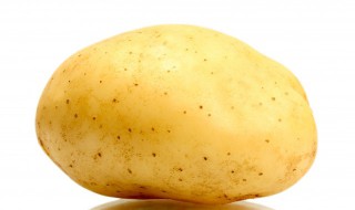 马铃薯苗发芽了怎么种 马铃薯出芽了