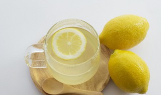 柠檬爽肤水的做法（柠檬水的做法大全）