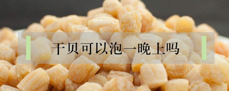 干贝可以泡一晚上吗 干贝可以泡一天吗