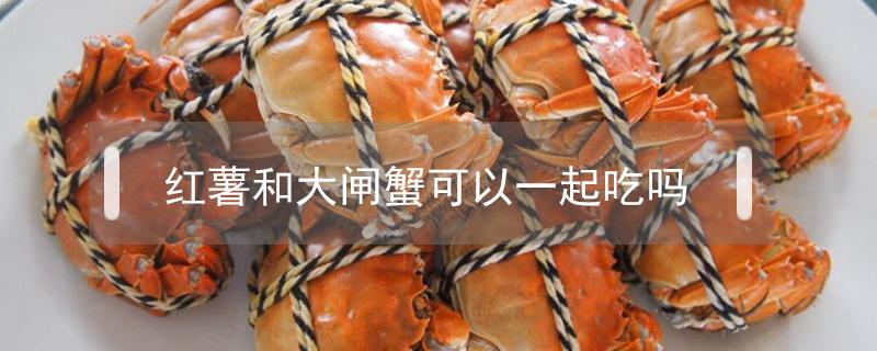 红薯和大闸蟹可以一起吃吗（闸蟹能和红薯一起吃吗）