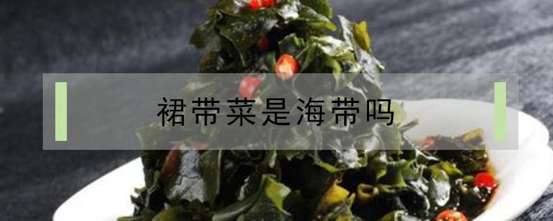 裙带菜是海带吗 裙带菜和海带是一个菜吗