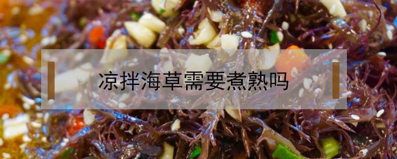 凉拌海草需要煮熟吗（凉拌海草冷冻后需要煮熟吗）