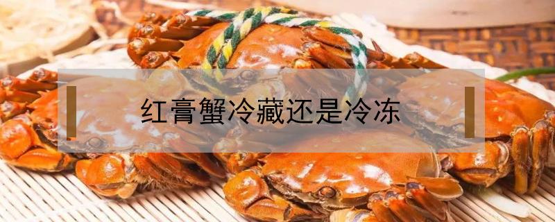 红膏蟹冷藏还是冷冻 红膏蟹可以冷冻吗