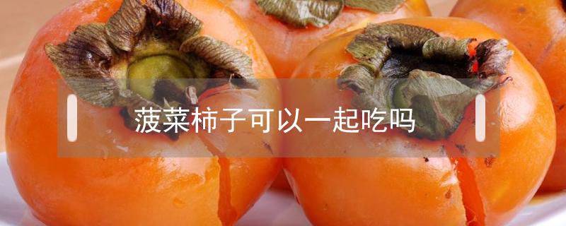 菠菜柿子可以一起吃吗 菠菜和柿子可以一起吃