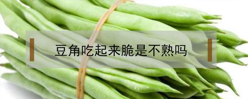 豆角吃起来脆是不熟吗（豆角吃的时候脆脆的是没熟吗）