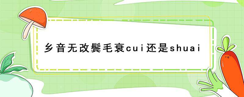 乡音无改鬓毛衰cui还是shuai（乡音无改鬓毛衰cui还是shuai意思）