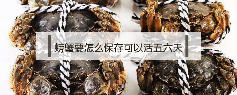 螃蟹要怎么保存可以活五六天 螃蟹怎样保存能多活几天