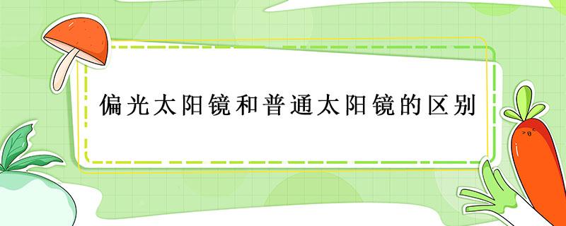 偏光太阳镜和普通太阳镜的区别