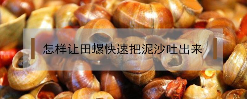 怎样让田螺快速把泥沙吐出来