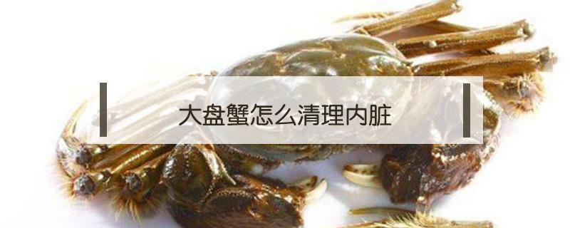 大盘蟹怎么清理内脏（大闸蟹怎么去内脏）