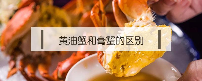黄油蟹和膏蟹的区别 膏蟹和蟹黄有区别吗?