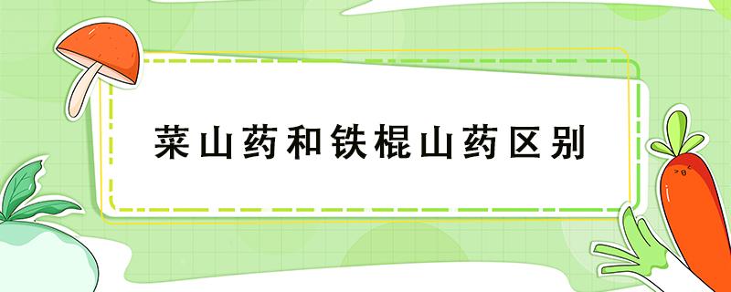 菜山药和铁棍山药区别 菜山药和铁棍山药的区别在哪里