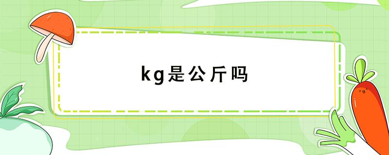 kg是公斤吗（kg是多少斤）