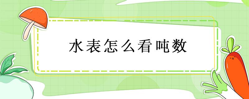 水表怎么看吨数（水表怎么看吨数最后那个数字算不算）