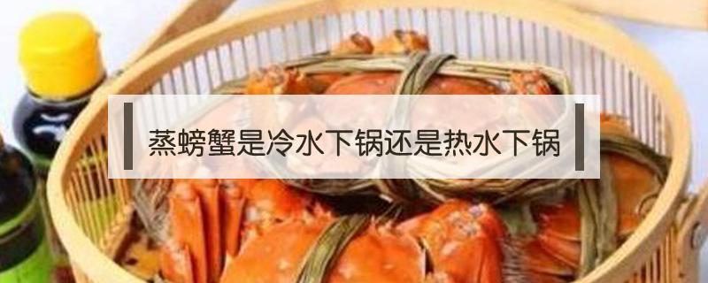 蒸螃蟹是冷水下锅还是热水下锅（怎样蒸螃蟹简单又好吃视频）
