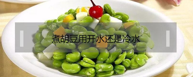 煮胡豆用开水还是冷水 煮胡豆用开水煮吗